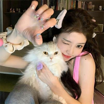 绿鸡蛋和绿火腿第二季